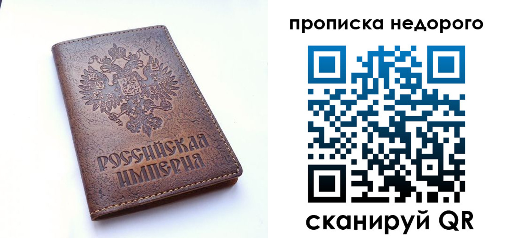 прописка поиск в Йошкар-Оле